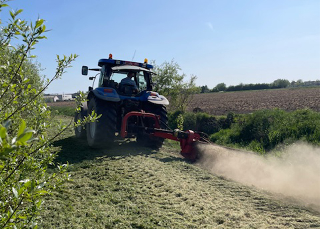 Tuinen Vancanneyt - Doorzaaien weides